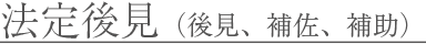 法定後見（後見、補佐、補助）